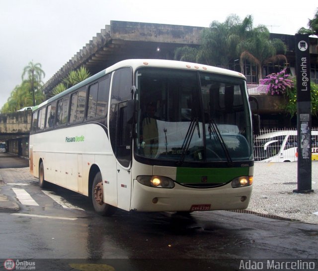 Pássaro Verde 2870 na cidade de Belo Horizonte, Minas Gerais, Brasil, por Adão Raimundo Marcelino. ID da foto: 338805.