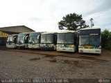 Empresa Gontijo de Transportes 8935 na cidade de Pirapora, Minas Gerais, Brasil, por Wagner Gontijo Várzea da Palma-mg. Número da foto: #340019.