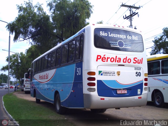 Pérola do Sul > Pérola Bus 50 na cidade de Porto Alegre, Rio Grande do Sul, Brasil, por Eduardo Machado. Número da foto: #377524.