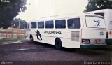 Empresa de Transportes Andorinha 2464 na cidade de Assis, São Paulo, Brasil, por Francisco Ivano. Número da foto: #379763.