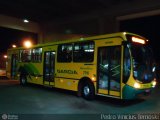 Viação Garcia 7715 na cidade de Apucarana, Paraná, Brasil, por Pedroka Ternoski. Número da foto: #381879.