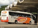 Viação Platina 0800 na cidade de Uberlândia, Minas Gerais, Brasil, por Ivan Caldeira Moc. Número da foto: #:id.