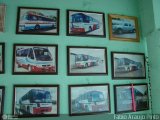 Rei das Selvas > Irmãos Coragem Turismo > Princesa do Longá Turismo  na cidade de Teresina, Piauí, Brasil, por Fábio Araújo Pinto. Número da foto: #:id.