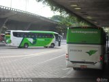 Setelagoano 25030 na cidade de Belo Horizonte, Minas Gerais, Brasil, por Gabriel Valladares. Número da foto: #385262.