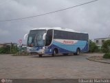 Pérola do Sul > Pérola Bus 44 na cidade de São Lourenço do Sul, Rio Grande do Sul, Brasil, por Eduardo Machado. Número da foto: #384563.