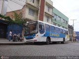Laranjal Transportes 204 na cidade de Pelotas, Rio Grande do Sul, Brasil, por Eduardo Machado. Número da foto: #385704.