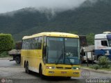 Viação Itapemirim 44067 na cidade de Jequié, Bahia, Brasil, por Gabriel Bispo. Número da foto: #387517.