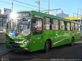 Transportes Santo Antônio RJ 161.161 na cidade de Duque de Caxias, Rio de Janeiro, Brasil, por Gabriel Petersen Gomes. Número da foto: #:id.