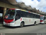 Rio Rotas Transporte e Turismo D81119 na cidade de Rio de Janeiro, Rio de Janeiro, Brasil, por Renan Vieira. Número da foto: #390805.