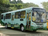 Sagrada Família Ônibus CONSóRCIO BH LESTE na cidade de Duque de Caxias, Rio de Janeiro, Brasil, por Josenilton  Cavalcante da Cruz. Número da foto: #:id.
