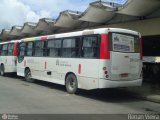 Rio Rotas Transporte e Turismo D81039 na cidade de Rio de Janeiro, Rio de Janeiro, Brasil, por Renan Vieira. Número da foto: #390830.