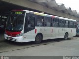 Rio Rotas Transporte e Turismo D81102 na cidade de Rio de Janeiro, Rio de Janeiro, Brasil, por Renan Vieira. Número da foto: #390715.