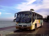 EVA - Empresa de Viação Algarve D90057 na cidade de Rio de Janeiro, Rio de Janeiro, Brasil, por Zé Ricardo Reis. Número da foto: #:id.