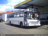 Ônibus Particulares PPB0597 na cidade de Encruzilhada do Sul, Rio Grande do Sul, Brasil, por Eduardo Machado. Número da foto: #392198.