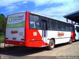 Viação Perboni 135 na cidade de Parobé, Rio Grande do Sul, Brasil, por Eduardo Machado. Número da foto: #:id.
