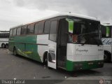 Coopertarp 1000 na cidade de São Paulo, São Paulo, Brasil, por Thiago Cabral. Número da foto: #:id.