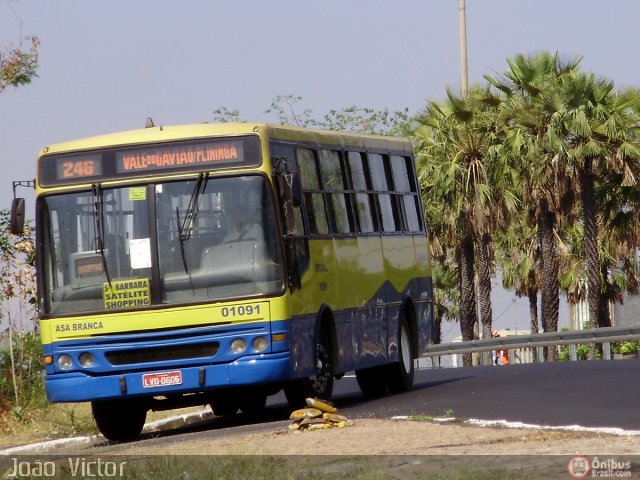 Asa Branca 01091 na cidade de Teresina, Piauí, Brasil, por João Victor. ID da foto: 397987.