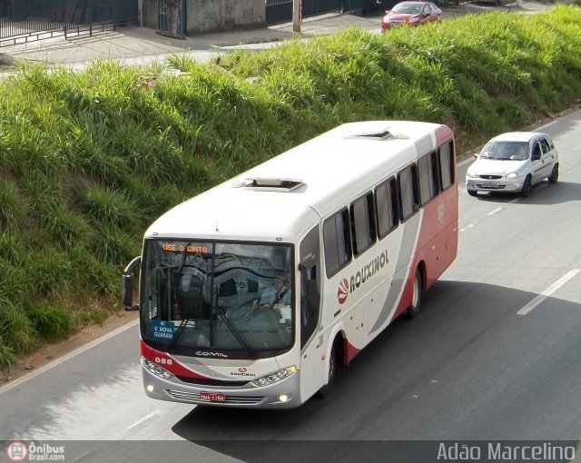 Rouxinol 088 na cidade de Belo Horizonte, Minas Gerais, Brasil, por Adão Raimundo Marcelino. Número da foto: #400824.