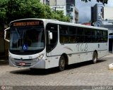 TCL - Transporte Coletivo Leo 38 na cidade de Cataguases, Minas Gerais, Brasil, por Claudio Paz. Número da foto: #:id.