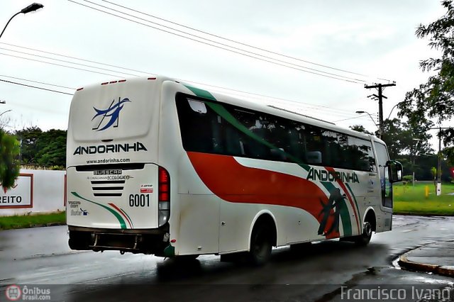 Empresa de Transportes Andorinha 6001 na cidade de Assis, São Paulo, Brasil, por Francisco Ivano. Número da foto: #372352.
