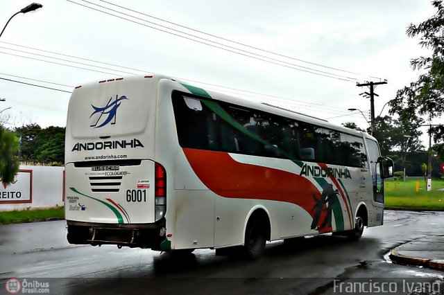 Empresa de Transportes Andorinha 6001 na cidade de Assis, São Paulo, Brasil, por Francisco Ivano. ID da foto: 372352.