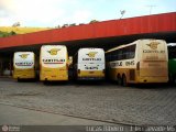 Empresa Gontijo de Transportes 12645 na cidade de João Monlevade, Minas Gerais, Brasil, por Lucas  Ribeiro. Número da foto: #372453.