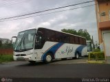 Efal - Expresso Faxinalense Ltda. 800 na cidade de Santa Maria, Rio Grande do Sul, Brasil, por Vinicius Druzian. Número da foto: #402136.
