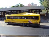 Viação Itapemirim 40351 na cidade de Ribeirão Preto, São Paulo, Brasil, por Fernando Reis. Número da foto: #412202.