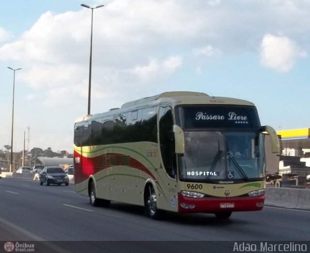 Viação Pássaro Livre 9600 na cidade de Belo Horizonte, Minas Gerais, Brasil, por Adão Raimundo Marcelino. Número da foto: #413982.