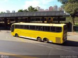 Viação Itapemirim 8033 na cidade de Ribeirão Preto, São Paulo, Brasil, por Fernando Reis. Número da foto: #415250.
