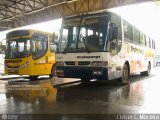 Auto Viação Urubupungá 2040 na cidade de São Roque, São Paulo, Brasil, por Cleber C.  Moreira. Número da foto: #417571.