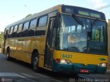 Viação Garcia 6437 na cidade de Maringá, Paraná, Brasil, por Pedroka Ternoski. Número da foto: #420907.