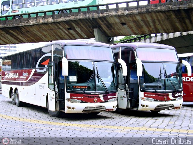 Expresso Gardenia 2550 na cidade de Belo Horizonte, Minas Gerais, Brasil, por César Ônibus. Número da foto: #422336.