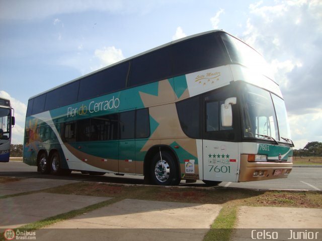 Flor do Cerrado 7601 na cidade de Brasília, Distrito Federal, Brasil, por Celso  Junior. Número da foto: #424056.