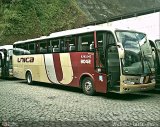 Transportes Única Petrópolis RJ 163.042 na cidade de Petrópolis, Rio de Janeiro, Brasil, por Wallace Gonçalves . Número da foto: #425931.