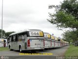 Auto Viação Marechal AL305 na cidade de Curitiba, Paraná, Brasil, por Paulo Roberto Chulis. Número da foto: #426267.
