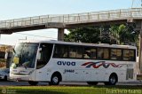AVOA - Auto Viação Ourinhos Assis 24460 na cidade de Ourinhos, São Paulo, Brasil, por Francisco Ivano. Número da foto: #436632.