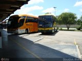 Expresso Brasileiro 551 na cidade de Mogi das Cruzes, São Paulo, Brasil, por Douglas Alvim. Número da foto: #:id.