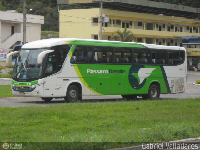 Pássaro Verde 1041 na cidade de Manhuaçu, Minas Gerais, Brasil, por Gabriel Valladares. Número da foto: #409832.