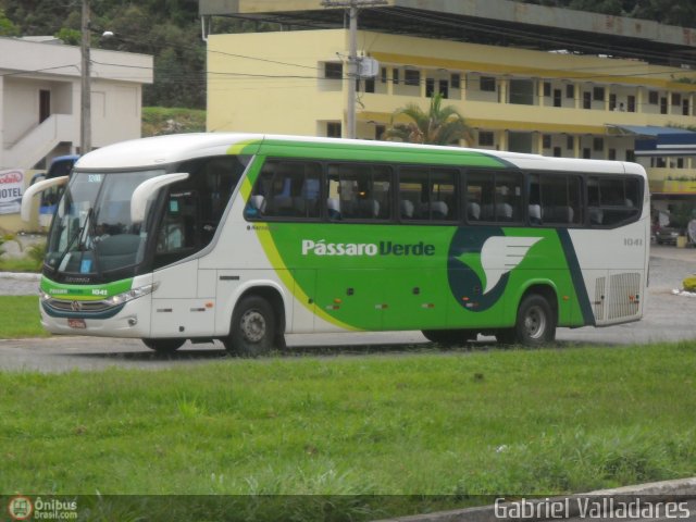 Pássaro Verde 1041 na cidade de Manhuaçu, Minas Gerais, Brasil, por Gabriel Valladares. ID da foto: 409832.