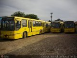 Auto Viação Critur 227 na cidade de Criciúma, Santa Catarina, Brasil, por Cleber  Mariot do Nascimento. Número da foto: #449045.