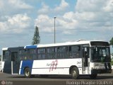 Turismar Transporte e Turismo 260 na cidade de Marília, São Paulo, Brasil, por Rodrigo Piragibe. Número da foto: #450881.