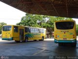 Viação Garcia 7675 na cidade de Maringá, Paraná, Brasil, por Pedroka Ternoski. ID da foto: :id.