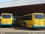 Viação Garcia 6166 na cidade de Maringá, Paraná, Brasil, por Pedroka Ternoski. Número da foto: #451509.