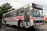 Empresa Ônibus Luchini 4000 na cidade de Assis, São Paulo, Brasil, por Francisco Ivano. Número da foto: #455415.