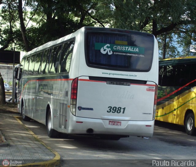 Expresso Cristália 3981 na cidade de São Paulo, São Paulo, Brasil, por Paulo Ricardo. Número da foto: #459953.
