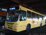 TCGL - Transportes Coletivos Grande Londrina 4438 na cidade de Londrina, Paraná, Brasil, por Pedroka Ternoski. Número da foto: #:id.