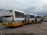 Restinga Transportes Coletivos 2490 na cidade de Porto Alegre, Rio Grande do Sul, Brasil, por Eduardo Machado. Número da foto: #463835.