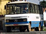 Transtatão  na cidade de Nova União, Minas Gerais, Brasil, por César Ônibus. Número da foto: #470191.