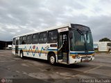 Restinga Transportes Coletivos 2438 na cidade de Porto Alegre, Rio Grande do Sul, Brasil, por Eduardo Machado. Número da foto: #471592.